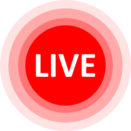 Ts Tv Escorts